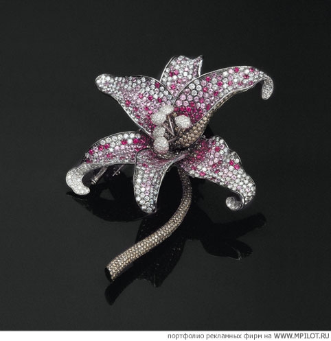  ������� ��������� - ����������. AXIOM GRAPHICS - ������