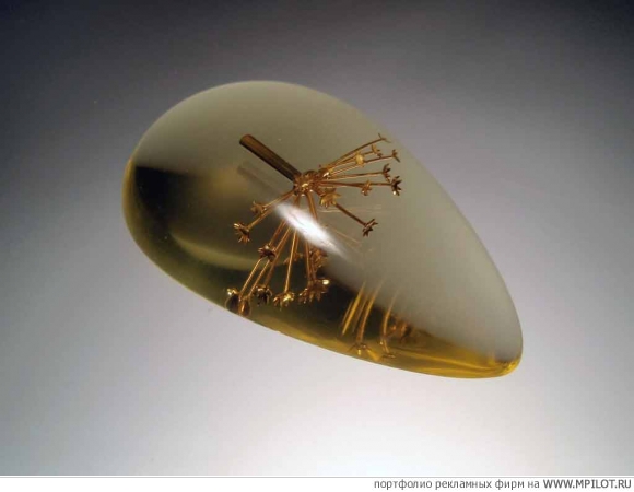  ������� ��������� - ���������� ���������. ��������-������� - ������